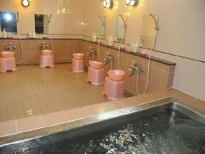 Okazaki Single Hotel - Image 2