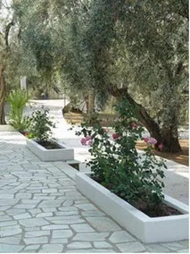 LIVADI - Image 3