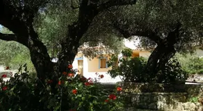 IL VELIERO - Image 4