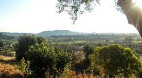 Mika's House - Image 4