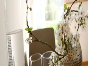 Boutique Hotel Villa Katharina - Image 5