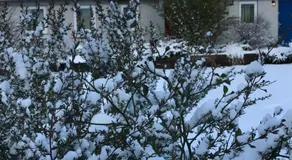 Kilcloon Self Catering Cottages & Rooms - Image 4