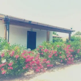 Villaggio Alga Blu - Image 2