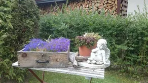 Waldidyll am See - Image 4