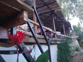 Teras Paradise Guest House - Image 2