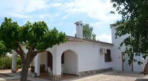 Ocean LOCDENIA - Image 4