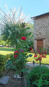 Le Domaine des Tuillieres - Image 3