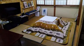 HACHI - Image 3