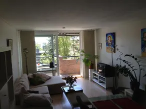 Het Zonnetje - Image 2
