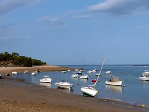 Maison d’Hôtes Les Ajoncs - Image 3