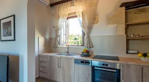 Historical Traditional Totally renovated Villa OLGA With an olive Mill - Image 5