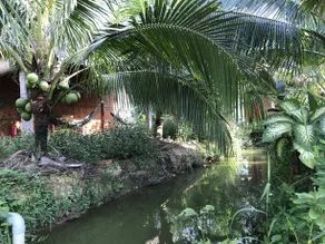 Ben Tre Garden Farmstay - Image 1