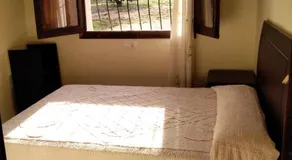 pinomar - Image 3