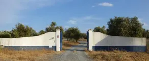 Monte Das Beatas - Alojamento Local - Image 2