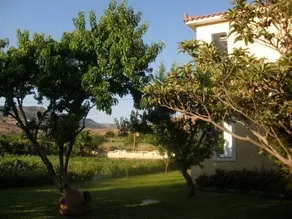 KOURLIS - Image 3