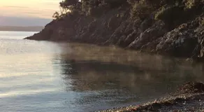 Cres Robinson Experience - Image 4