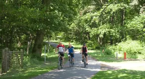 De Kerselaar Houthalen-Helchteren - Image 5