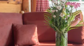 Wellness hiska Izabela - Image 4
