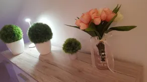 Three Roses - Image 2