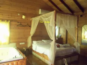 Zimmer Frey Manot - Image 3