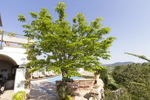 Cykler Mallorca - Hotel Can Cota - Image 5
