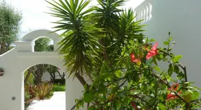 Villa Santa Monica - Image 5