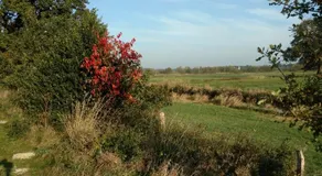 Bivakkeren bij de Buren met eigen fiets, paard of wandelschoenen - Image 5