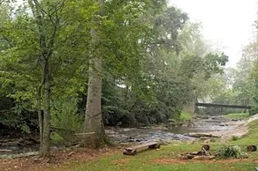 Mountain Springs Cabins - Image 2