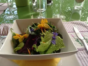 Veganer Gasthof Zum Ederplan - Image 2