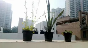 Homestay 129 - Image 4