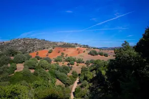 GENNA E CORTE - Image 4