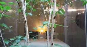 Chalet Contemporain - Image 5