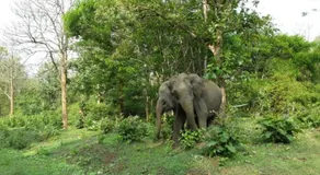 Orange Villa Wayanad - Image 5