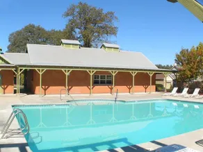 Turtle Pond - Image 3