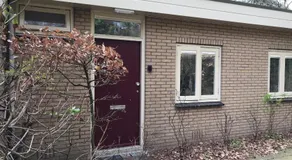 Modern Natuurhuisje Midden In Het Bos Op De Veluwe - Image 2