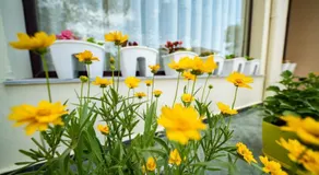 Hotel Villa Aljor - Image 2