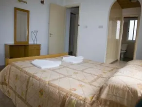 Golden Nest - Image 3