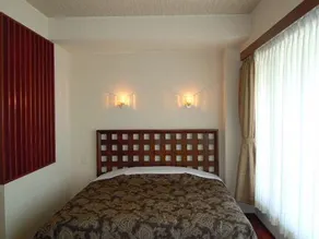 WHITE HOTEL - Image 5