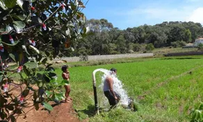 Yelagiri Farm House - Image 2