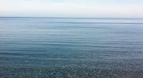 Beach Apartment Rustaveli - Image 2