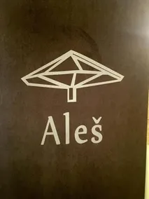 Guesthouse Aleš - Image 2