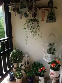 Kocia Górka - Image 3