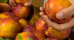 ECO TURISMO Masia Can Pares - Image 3