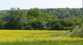 Ferienhaus-Uckermarkblick - Image 4