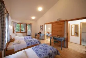 Hotel Bor - Debeli Rtic - Image 5