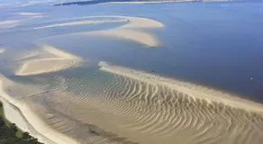 Pyla Camping - Image 2