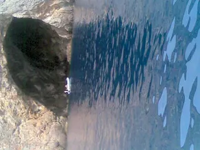 La Macchia Mediterranea - Image 3