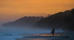 Zeneidas Surf Garden - Image 5