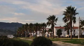 Sol de Bolonia 8 - Image 2