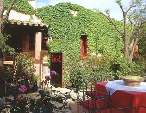 El Pati - Image 2